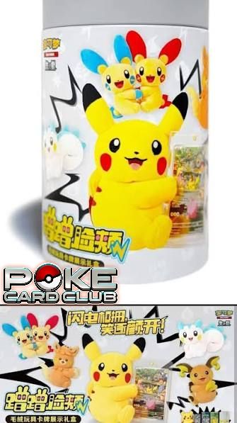 ALL NEW Pokémon TCG: Blind Boxes